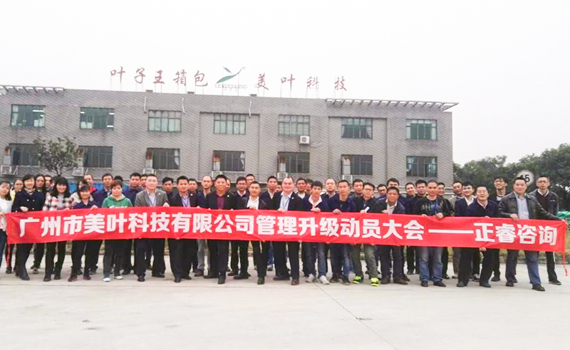 2017年3月广州市美叶科技有限公司管理升级咨询项目
